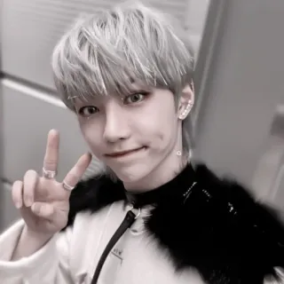 🧹 kpop, idol, fofo, sinal de paz, pessoa, homem, selfie telegram sticker