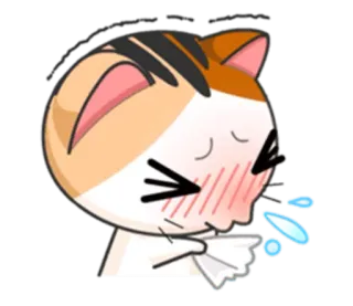 😷 chat, animal, malade, rhume, grippe, mouchoir, mignon whatsapp sticker