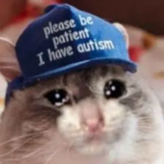 Sad Cats telegram stickers