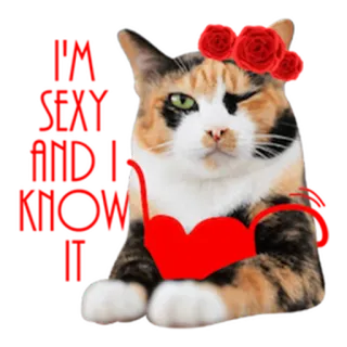 😍 Katze, Rose, Herz, Aufkleber, Tier telegram sticker
