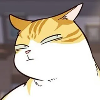 🐈 mèo, meme, động vật, thú cưng, hoạt hình telegram sticker