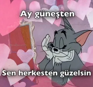 😛 Tom Cat Tom and Jerry Ay güneşten
Sen herkesten güzelsin desenho animado, gato, amor, corações, fofo telegram sticker