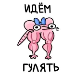 🤩 telegram sticker