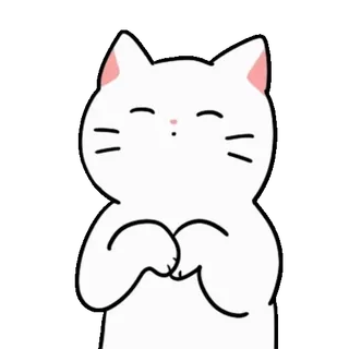 💬 gato, lindo, animal, pegatina, dibujo animado, gato blanco whatsapp sticker