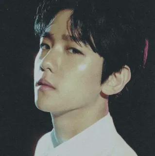 ✨ man, portrait, kpop, singer, idol, asian, celebrity telegram sticker