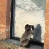 😊