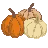 🍁