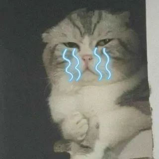 🐾 chat, pleurer, triste, sticker, emoji, dessin animé whatsapp sticker