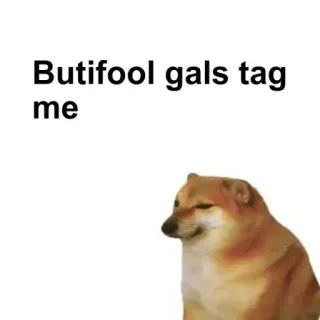 🌟 Cheems Doge meme Butifool gals tag me cheems, doge, dog, meme, funny, beautiful, tag telegram sticker