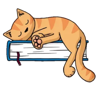 😴 gatto, libro, dormire, carino, arancione, gattino, animale domestico telegram sticker