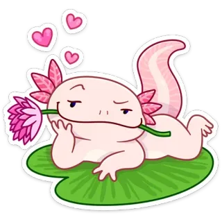 🌹 Axolotl, niedlich, Aufkleber, Tier, Herzen, Blume telegram sticker