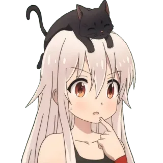 🤔 Garota anime, Gato, Desenho animado, Kawaii, Fofo, Adesivo whatsapp sticker