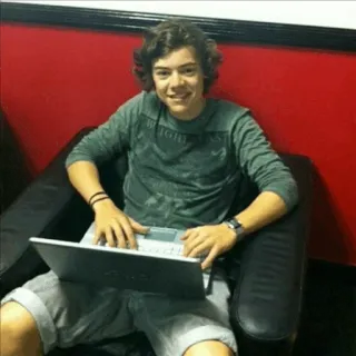 🍩 Harry Styles celebrity, harry styles, singer, person, smiling, laptop telegram sticker