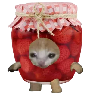 🍓 草莓, 果酱, 猫, 可爱, 动物, 食物 telegram sticker