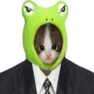 🧐 cat, frog, suit, animal, funny, kitten, meme, pet telegram sticker