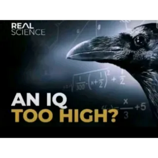 🐦 Real Science REAL SCIENCE AN IQ TOO HIGH? whatsapp sticker