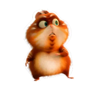 👀 chomik, słodki, śmieszny, zwierzę, pomarańczowy telegram sticker
