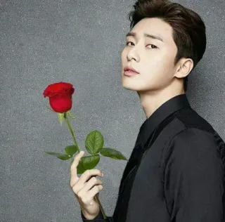 🌹 pria, mawar, bunga, orang, romantis, selebriti telegram sticker