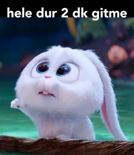 🥺 hele dur 2 dk gitme 토끼, 귀여운, 밈, 애니메이션, 동물 whatsapp sticker