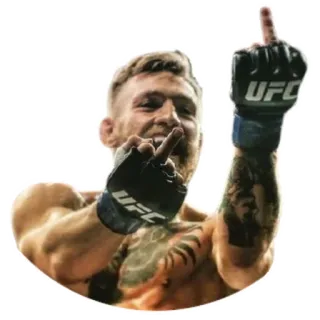 🖕 Conor McGregor 康纳·麦格雷戈, UFC, MMA, 拳击手, 中指, 冒犯手势, 体育, 运动员 telegram sticker