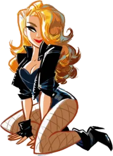 ⏩ Black Canary Fumetto, DC Comics, Supereroe, Bionda, Calze a rete whatsapp sticker