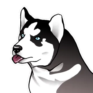 😛 chó, husky, động vật, nhà, thú cưng, động vật có vú telegram sticker