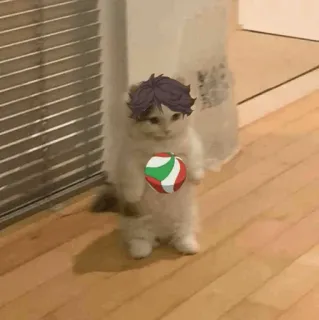 Standing Cat Anime @Icarusfalls telegram stickers