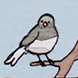 🤔 새, 동물, 스티커, 자연 telegram sticker