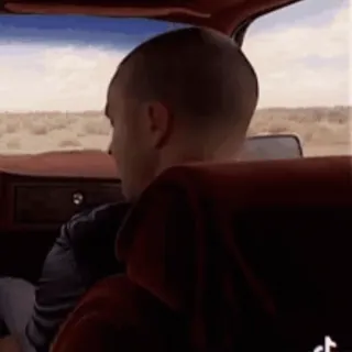 ๐คจ Jesse Pinkman Breaking Bad jesse, pinkman, breaking bad, desert, meth whatsapp sticker