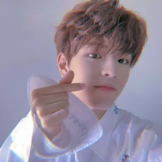 🐱 personne, coréen, homme, finger heart, idole, asiatique whatsapp sticker