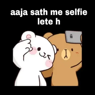 🖱 aaja sath me selfie lete h oso, selfie, dibujos animados, lindo, amistad telegram sticker