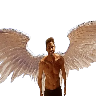 👼 Lucifer Morningstar Lucifer Lucifer, Engel, Flügel, Teufel, Fantasy, Oberkörperfrei, TV-Serie telegram sticker