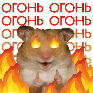 🔥 ОГОНЬ ОГОНЬ ОГОНЬ ОГОНЬ hamster, fire, flames, cute, animal, meme, eyes telegram sticker