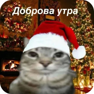 😁 Доброва утра chat, noël, chapeau, bonjour, salut telegram sticker