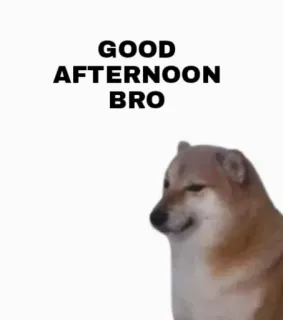 Cheems// @doge69 // @ZoldyckStickers telegram stickers