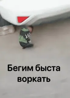 🏃‍♀️ Бегим быста воркать telegram sticker