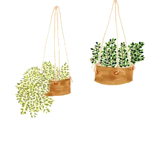 🌿 planta, colgante, casa, decoración, verde, hoja telegram sticker