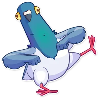 🕺 นกพิราบ, นก, การ์ตูน, สัตว์, ตลก, น่ารัก telegram sticker