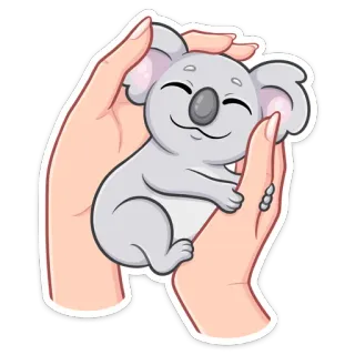 ☺️ Koala, niedlich, Tier, Aufkleber, Hände, kuscheln whatsapp sticker