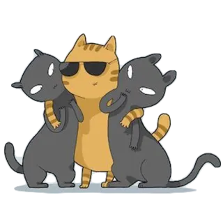 😏 gato, óculos de sol, animais, desenho animado, amizade, abraço, fofo whatsapp sticker