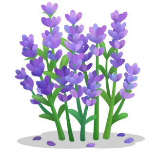 🪻 lavender, flowers, purple, nature, plant, aromatic telegram sticker
