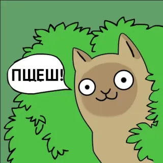👌 ПЩЕЩ! mèo, bụi cây, động vật, hài hước, meme telegram sticker