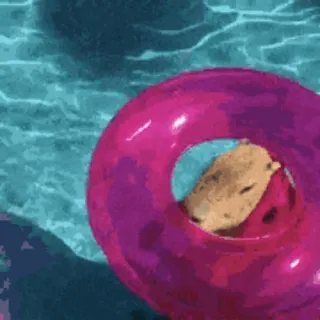 🏊‍♂️ telegram sticker