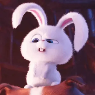 ☁️ Snowball The Secret Life of Pets coniglio, coniglietto, carino, animale, cartone animato, personaggio whatsapp sticker