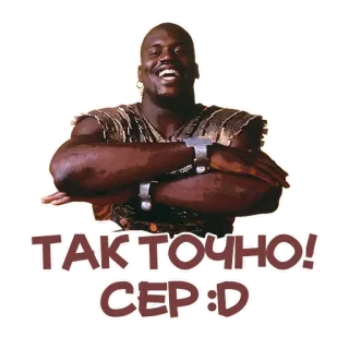 🫡 ТАК ТОЧНО!
СЕР :D testo, espressione, russo telegram sticker