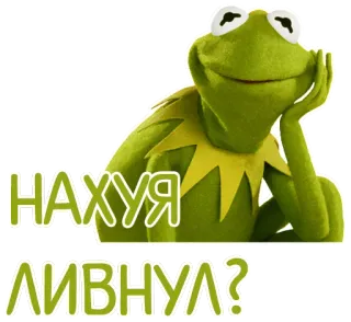 🤔 Kermit НАХУЯ ЛИВНУЛ? kermit, grenouille, mème, russe, cynique telegram sticker