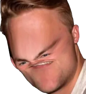 🤨 face, funny, portrait, meme, expression telegram sticker
