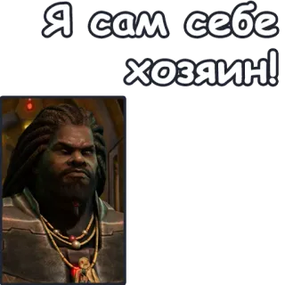 🐱 Я сам себе хозяин! telegram sticker