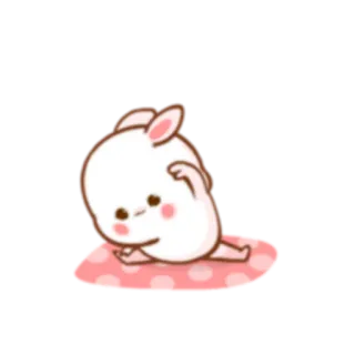 🏋️‍♂️ królik, słodki, naklejka, zwierzę, kreskówka, kawaii whatsapp sticker