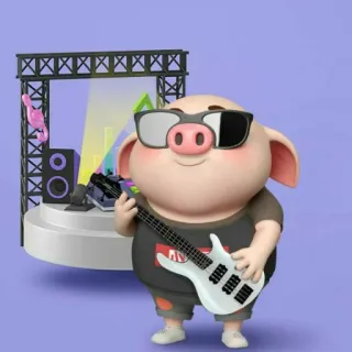 🐷 돼지, 음악, 기타, 만화, 선글라스, 무대 telegram sticker